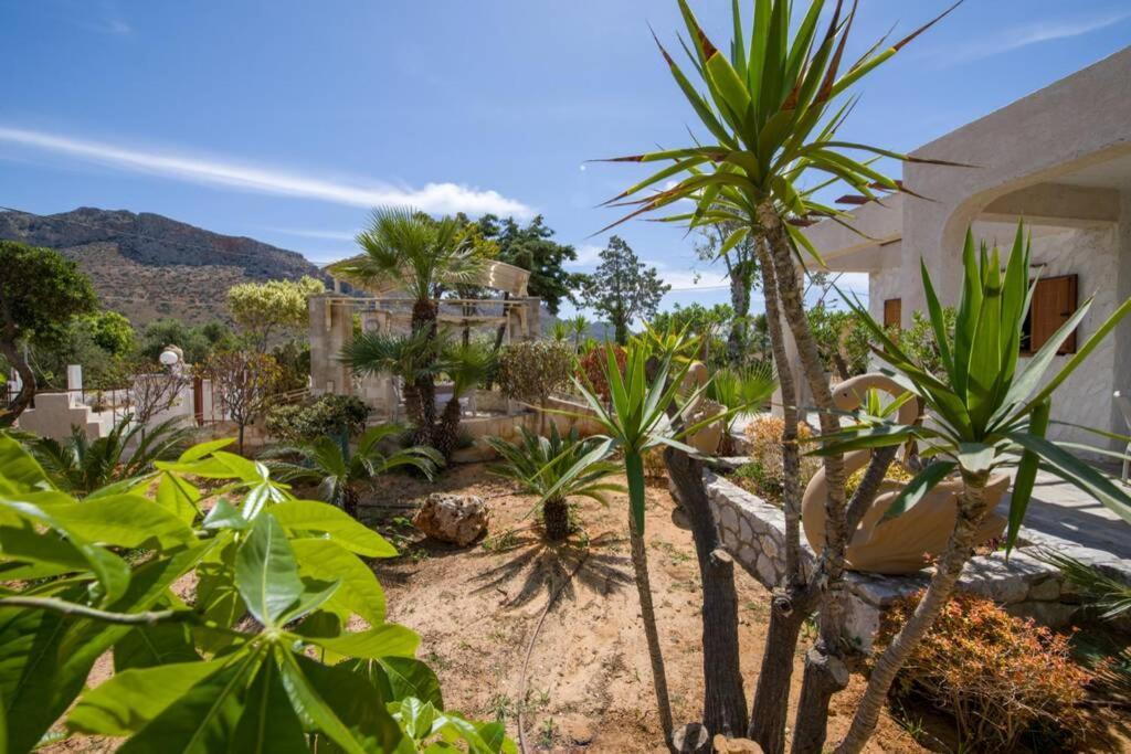 Renas Secret Garden House Villa Ханя Екстериор снимка