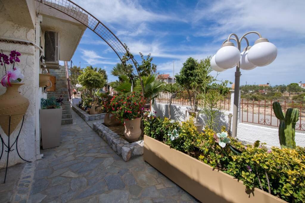 Renas Secret Garden House Villa Ханя Екстериор снимка