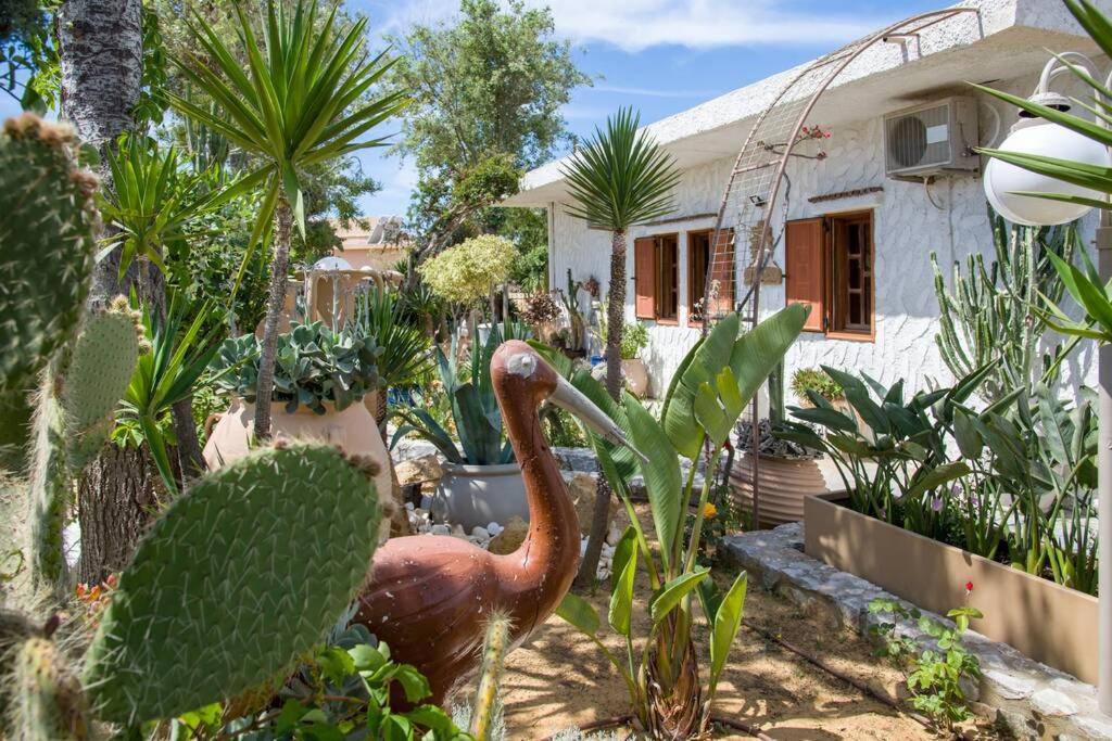 Renas Secret Garden House Villa Ханя Екстериор снимка
